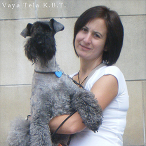 Marian-vaya-tela-kerry-blue-terrier