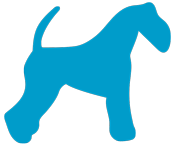 camadas kerry blue terrier